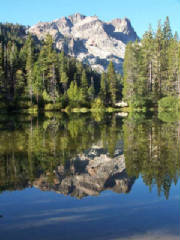 b0000178.jpg